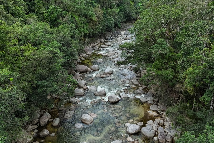 Cairns Tours Hero Image For How To Get To Mossman Gorge
