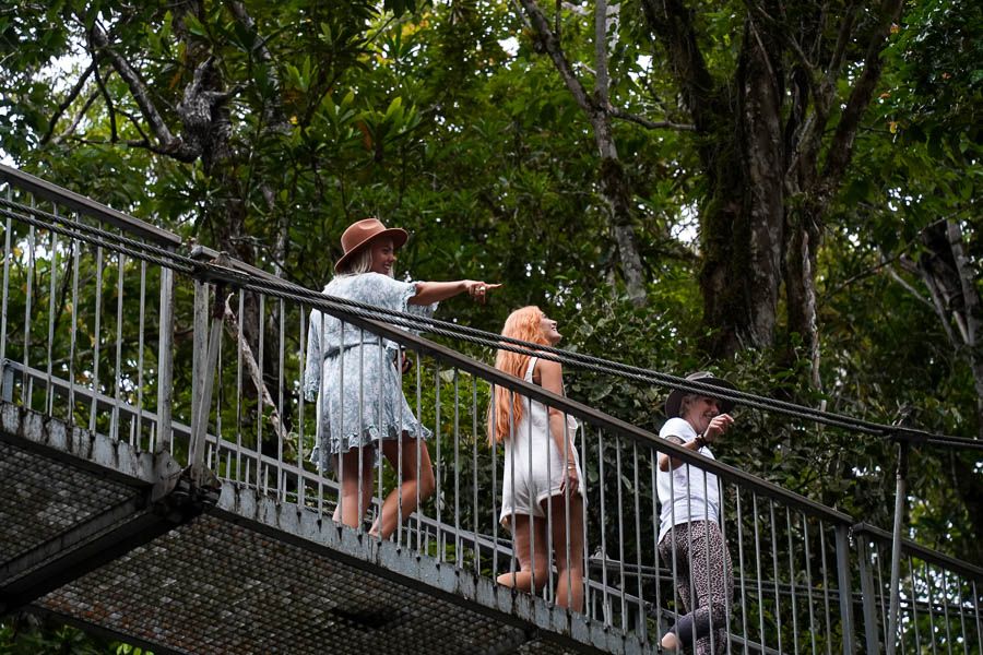 people walking on a rainforest bridge at mossman Gorge