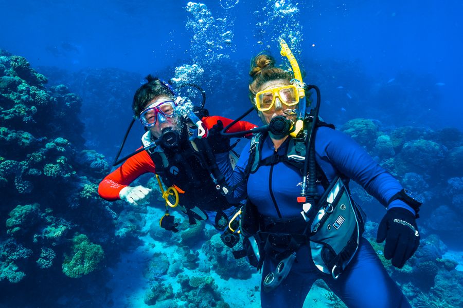 people scuba diving