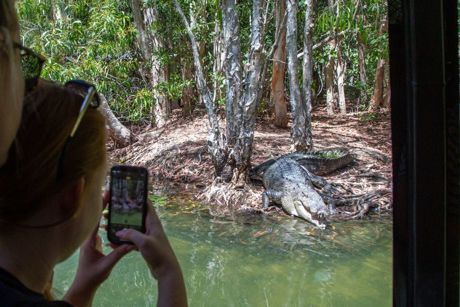 Hartley's Crocodile Adventures