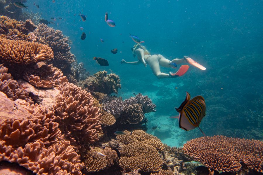 girl snorkeling