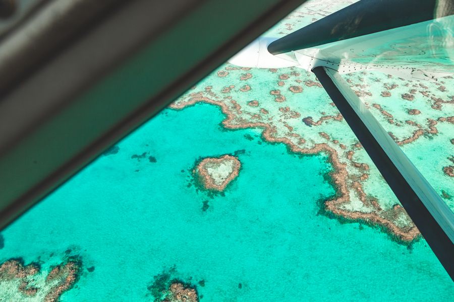 view of great barrier reef from seaplane in the whitsundays