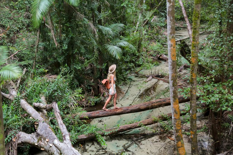 girl in a hat walking on a fallen tree in the rainforest