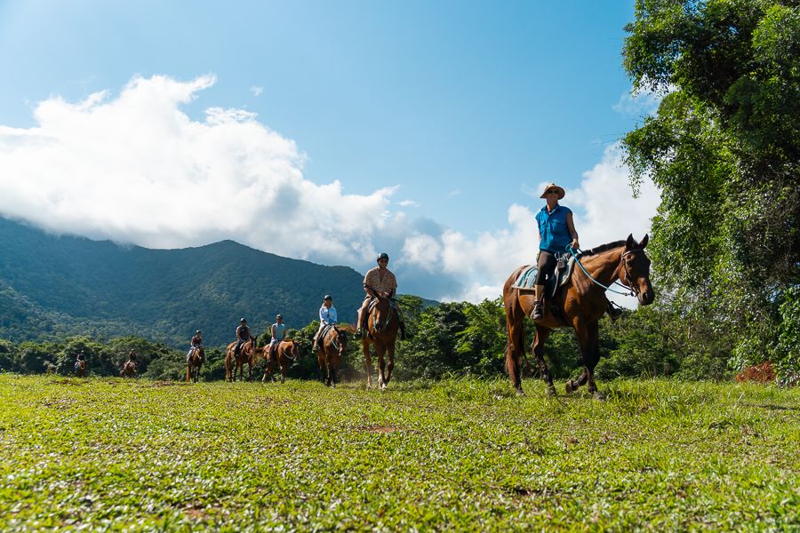 horseback riding tour in the daintree rainforest