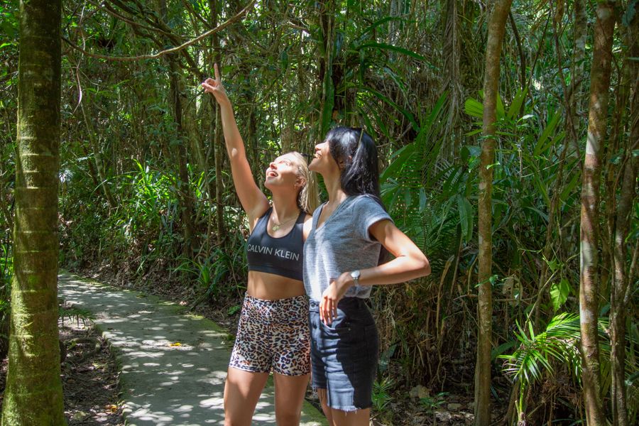 girls on a walk in the rainforest