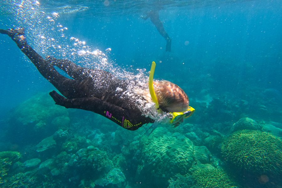 Snorkeling in the Great Barrier Reef