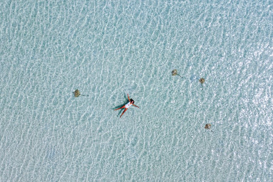 Four friendly stingrays surrounding a swimmer at Whitehaven Beach