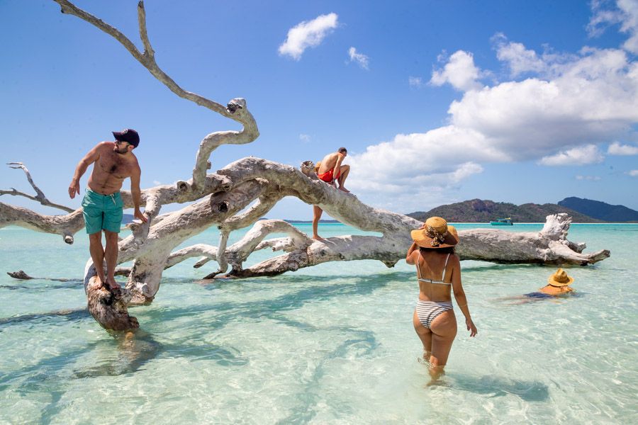 Group of four people relaxing on a large driftwood branch at Whitehaven Beach