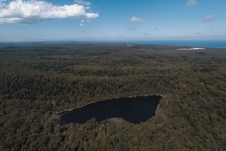 aerial view of Lake Allom surrounded by forest