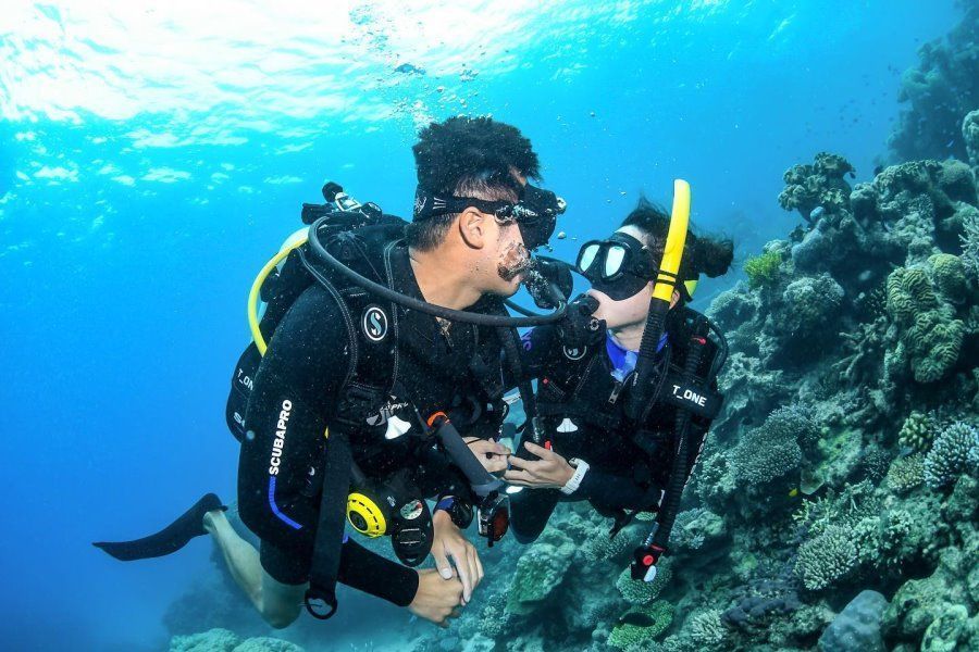 A couple scuba diving on the Great Barrier Reef