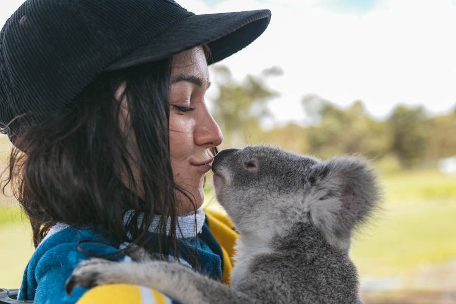 girl holding koala