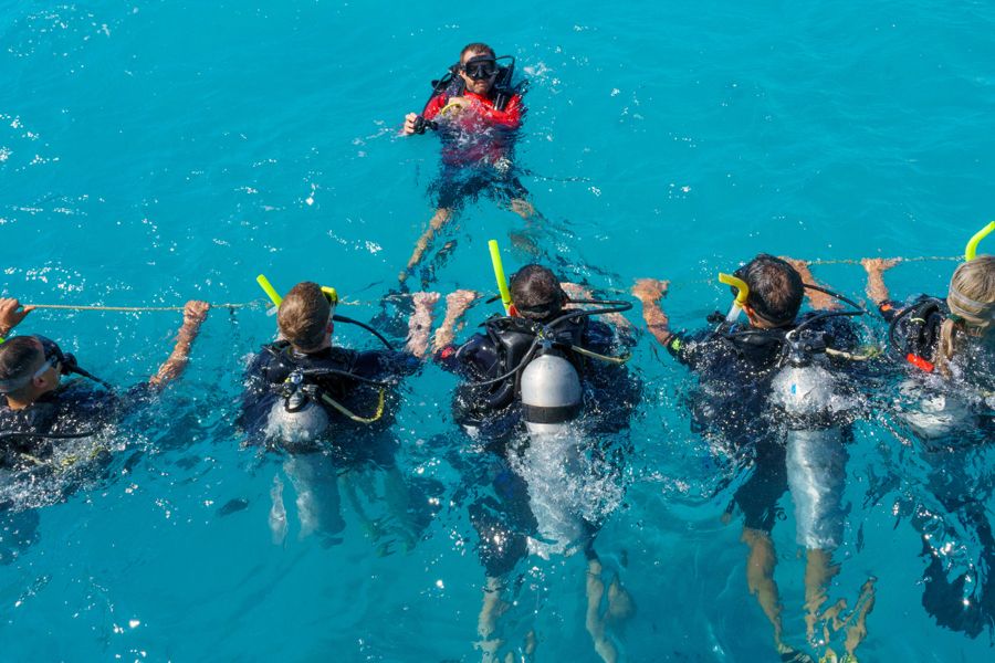 group of scuba divers in the blue water around cairns