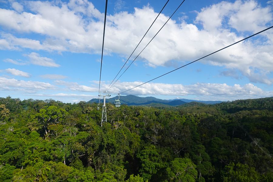 skyrail cableways over the kuranda rainforest