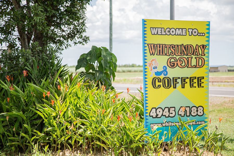 Whitsunday Gold Coffee