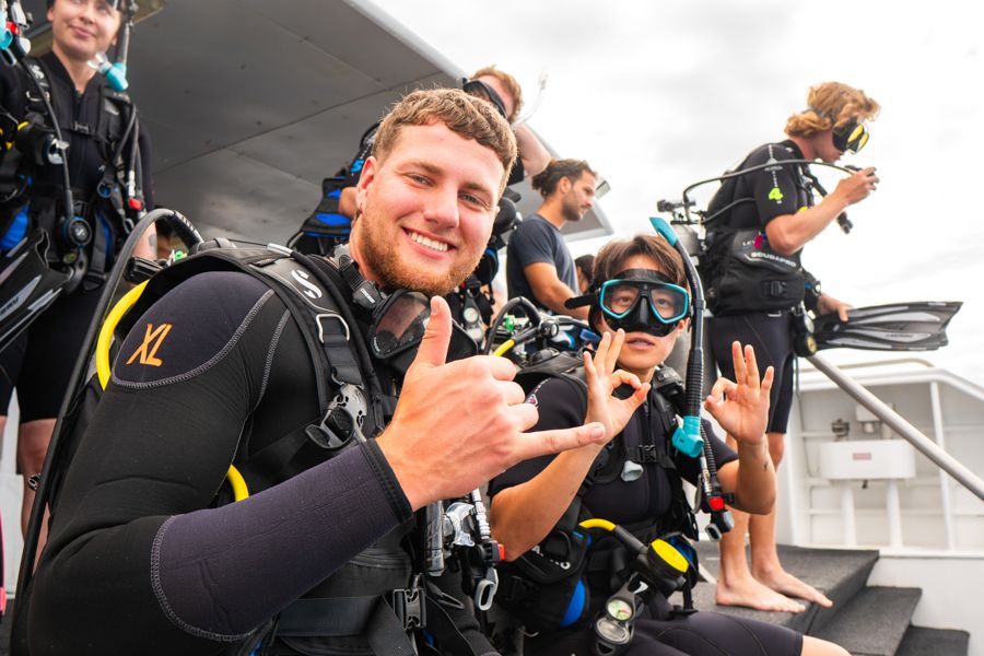 Cairns Tours Hero Image For What Is The Best Time Of Year To Dive In Cairns?