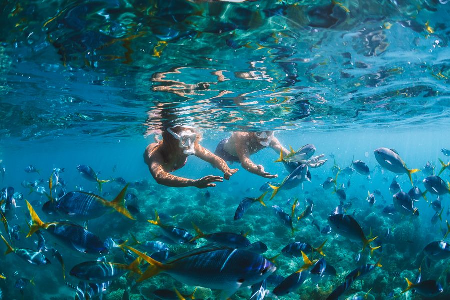 Snorkel Cairns snorkelling with fish on the great barrier reef cairns