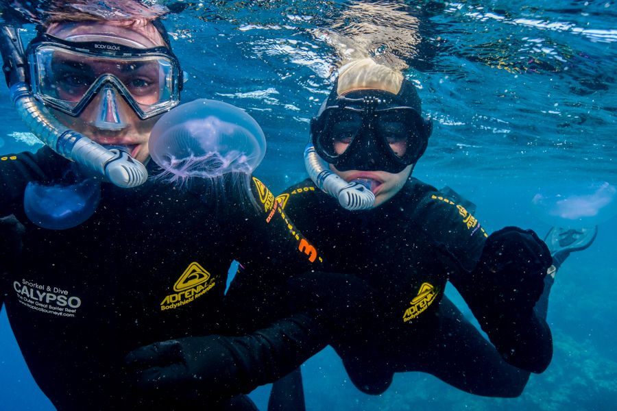 Divers' close encounter with jellyfish