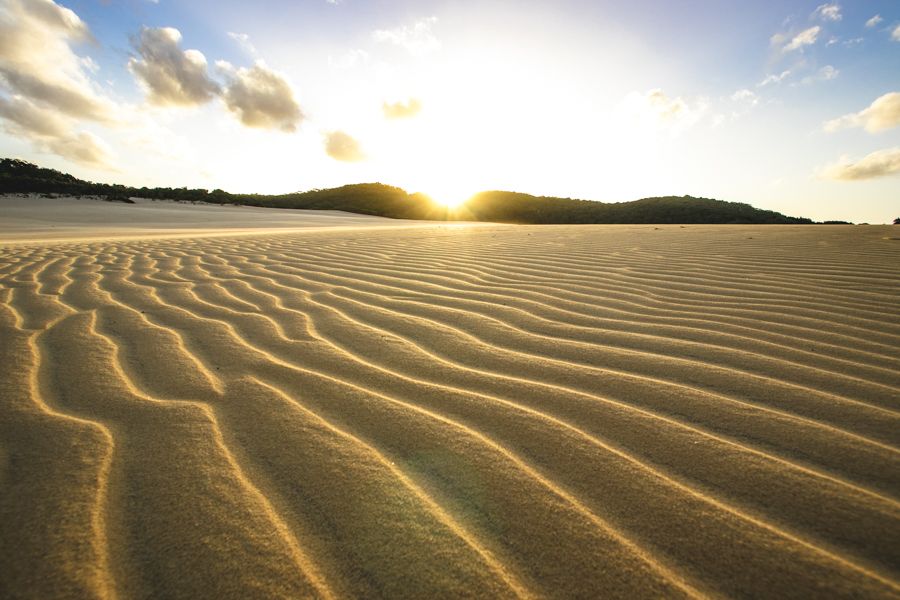 rippling sand dunes with the sun behind them