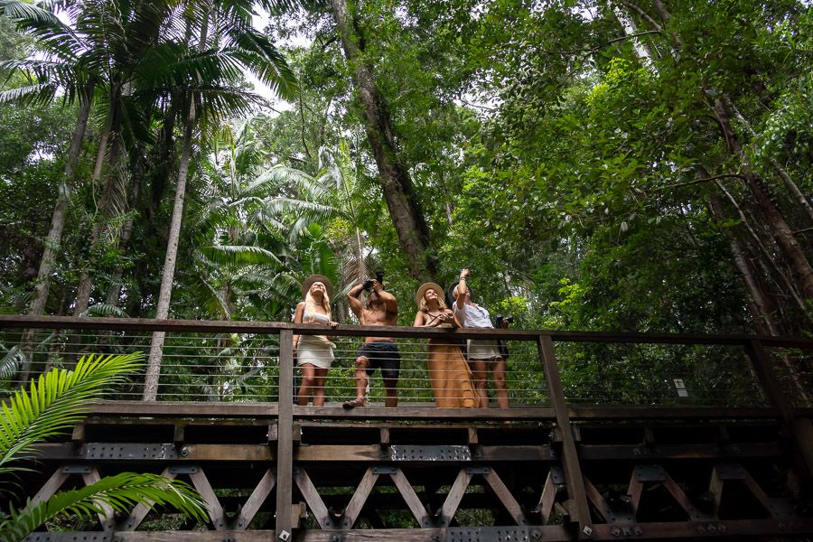 travellers admiring the rainforest on a bridge at Central Station