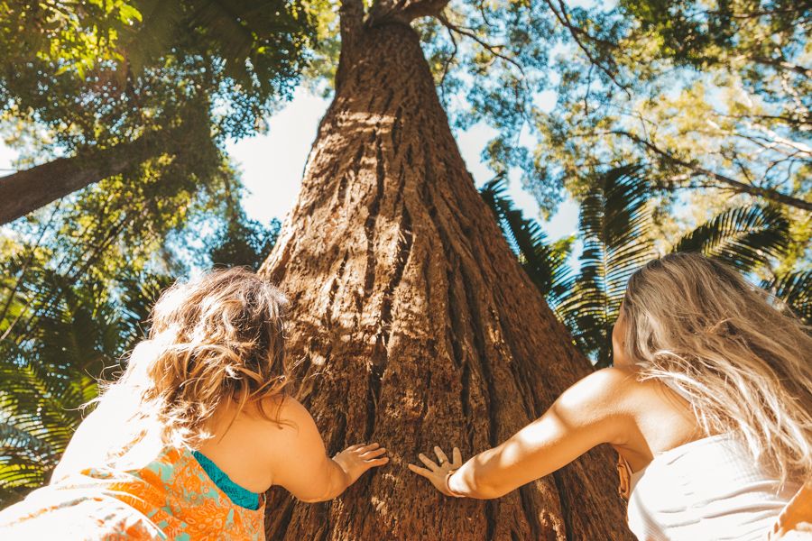 girls admiring k'gari trees in the dense rainforest 