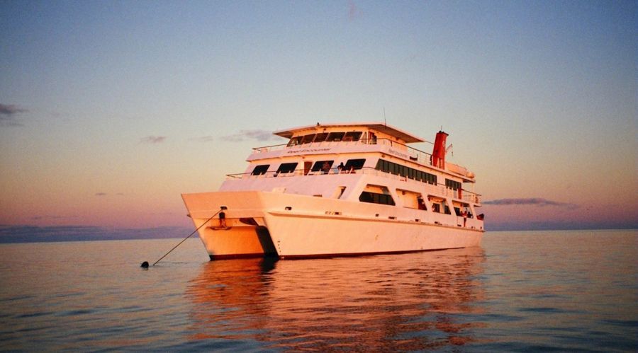 Reef Encounter Liveaboard at sunset in Cairns