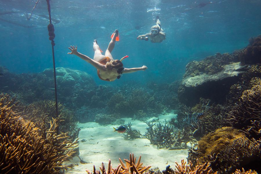 Snorkellers swimming through coral garden