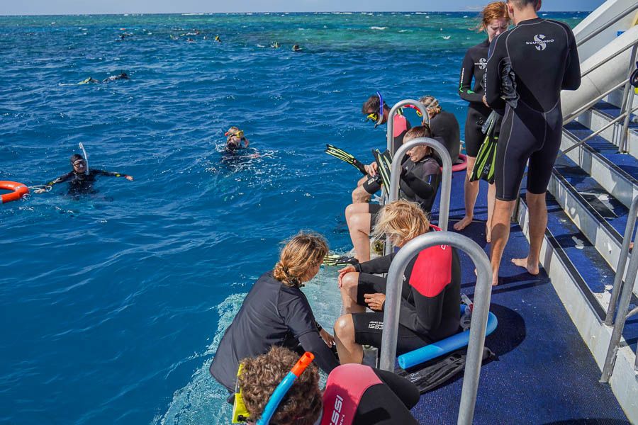 Divers preparing to submerge