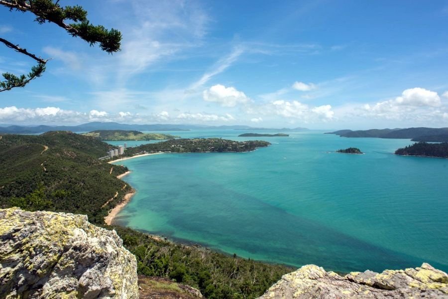 Tropical scenery while hiking in Hamilton Island