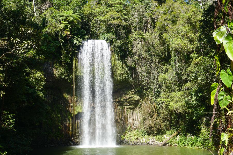 What Is The Atherton Tablelands Known For? CairnsTours