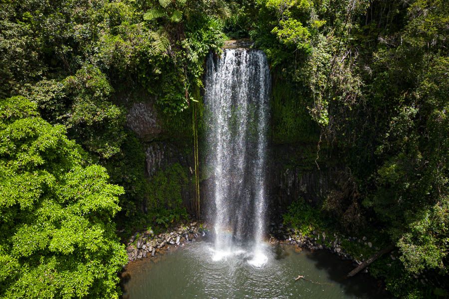 Millaa Millaa Falls