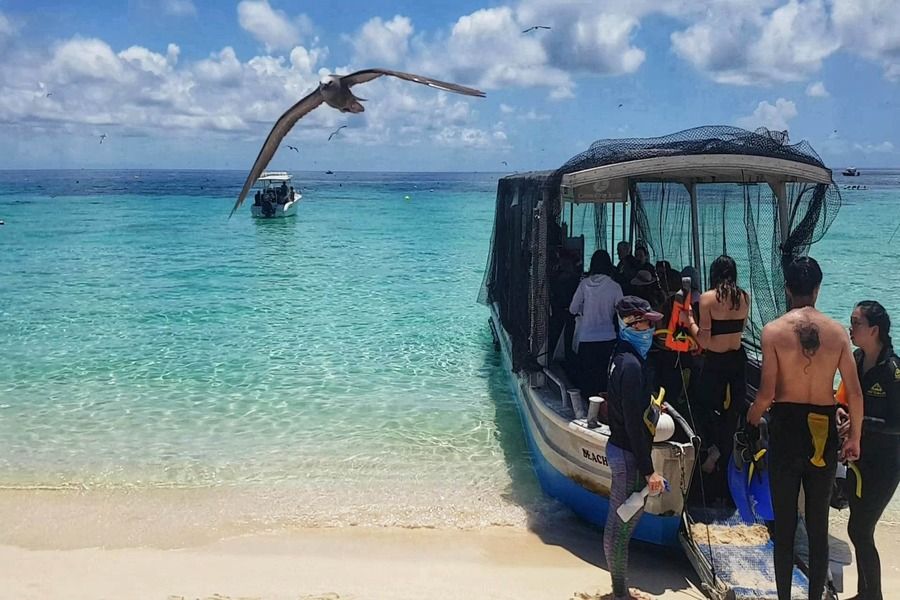 Ocean Spirit Beach Buggy Boat