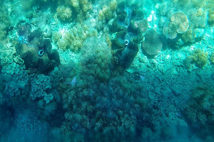 Ocean Spirit Glass Bottom Boat