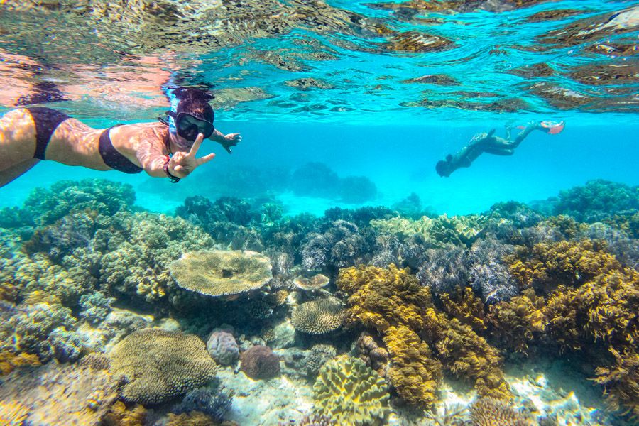 Person snorkeling on the Great Barrier Reef Australia