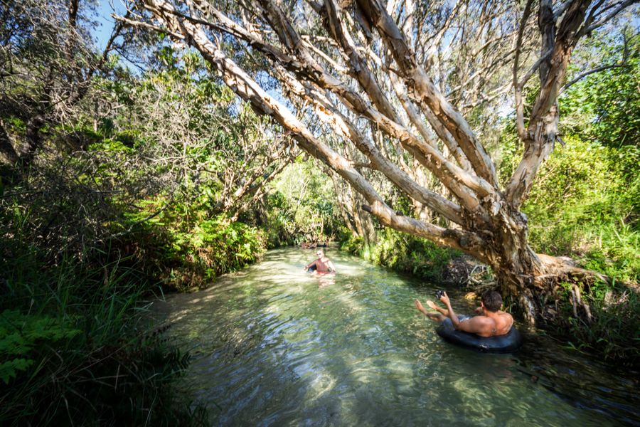 travelers floating down Eli Creek in tubes on K'gari (Fraser Island)