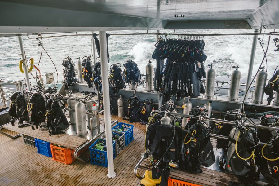 Dive gear