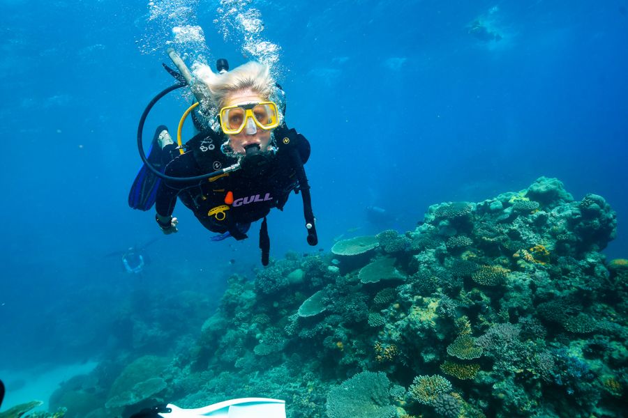 Scuba dive Cairns