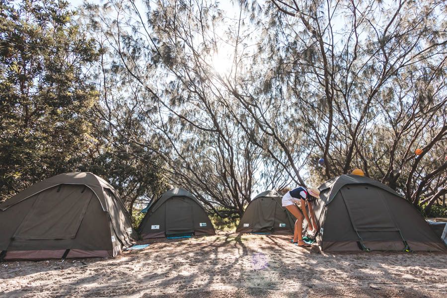 Traveller opening a tent at a campsite in the forest on K'gari