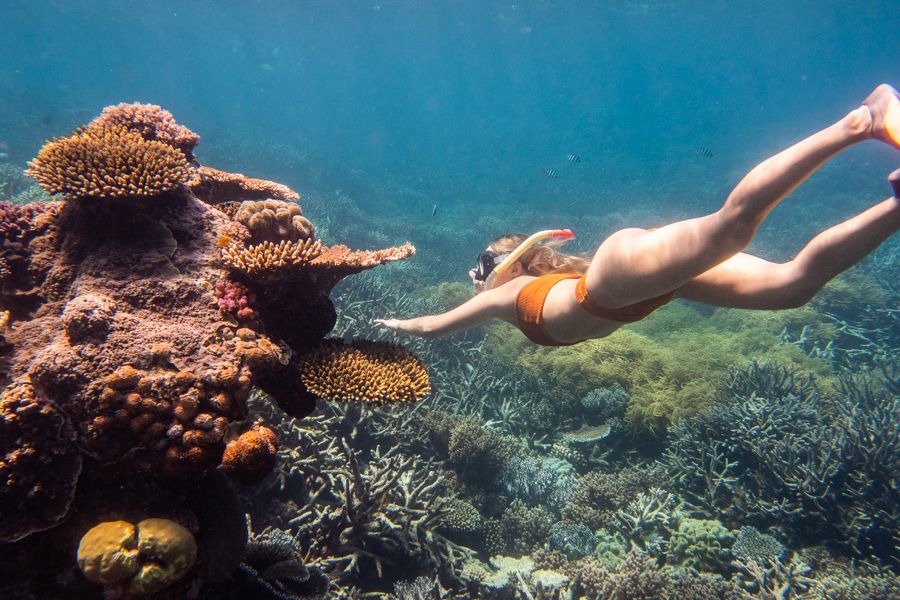 woman snorkelling on a Reef Magic tour from cairns