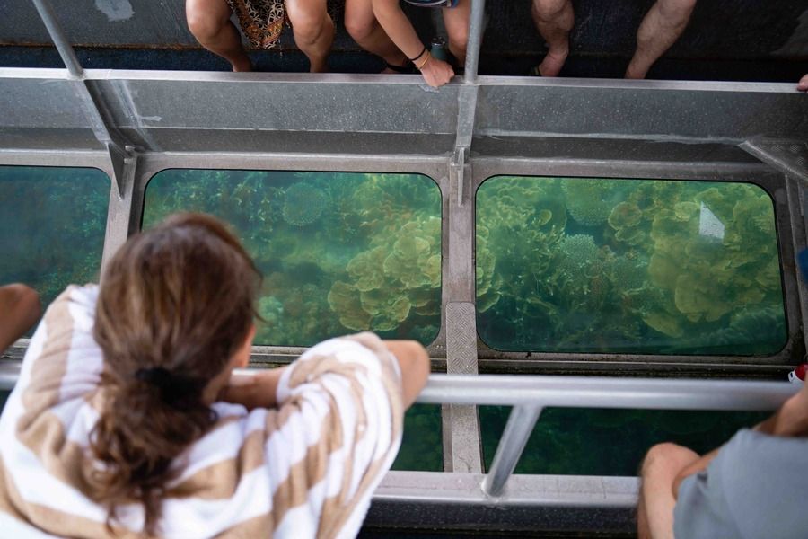 Glass Bottom Boat Tour