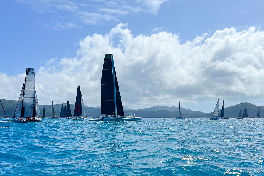 A group of sailing boats with their sales up 