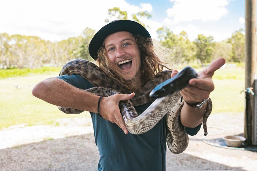 Snake at wildlife park