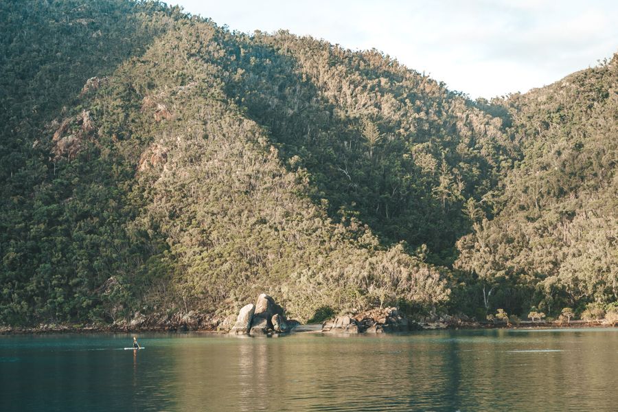 person paddleboarding near the jungles of Whitsunday Island