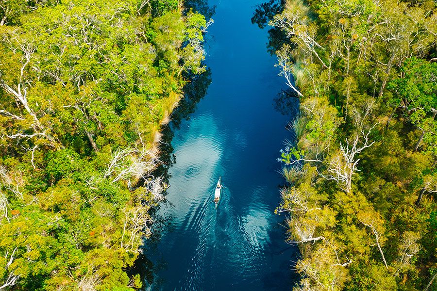 Aerial view of the peaceful streams in the Noosa Everglades