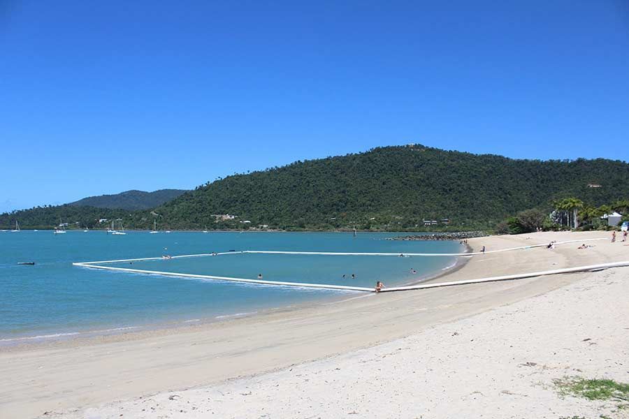 A blue water Boathaven Beach with a stinger net and white sand