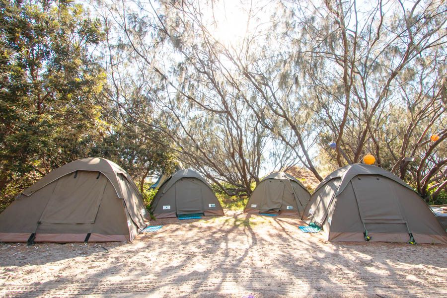 Camping by the beach