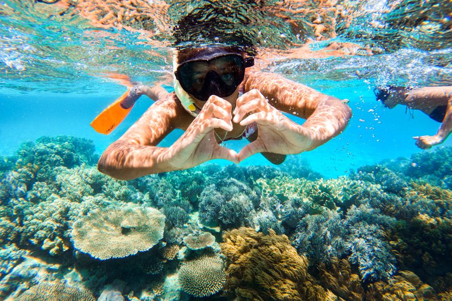 girl snorkeling in coral reefs underwater