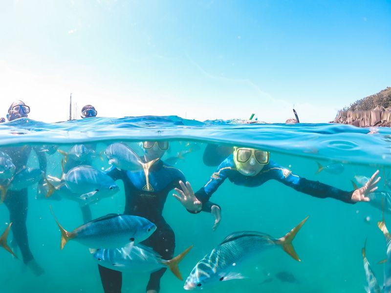 Two kids snorkelling with fish in the Barrier Reef