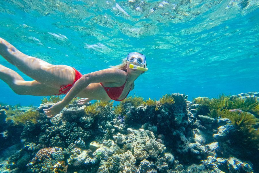 Girl snorkelling above reef