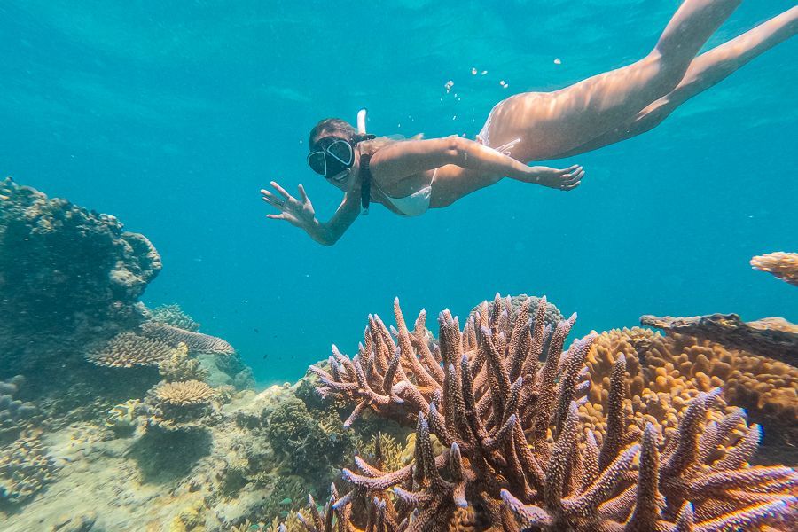 Girl snorkelling above a reef