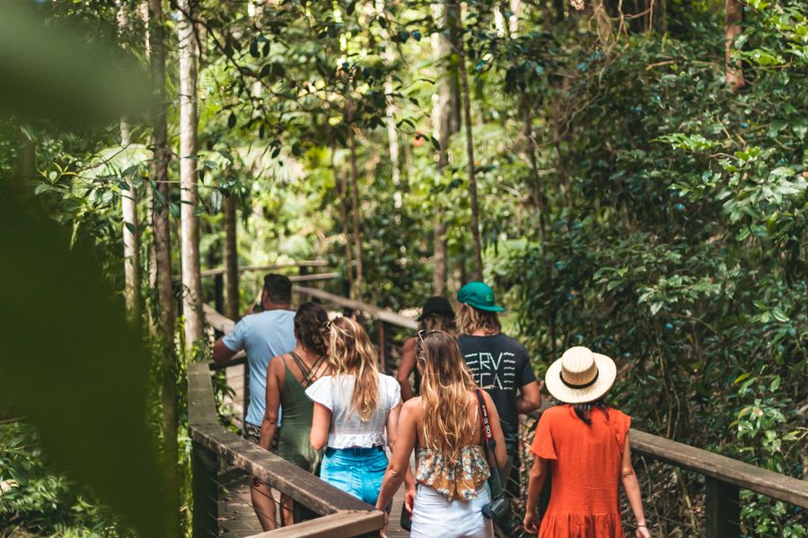 tour group walking through the rainforest